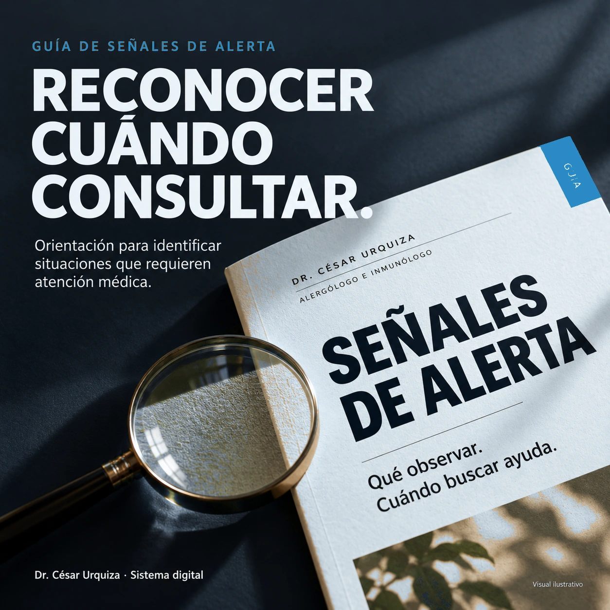 Guía de señales de alerta: qué observar y cuándo buscar ayuda. Visual ilustrativo.